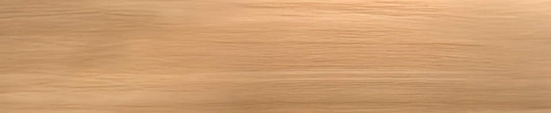 레노버 신학기 페스티벌