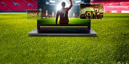 가정의 달을 기념하세요!