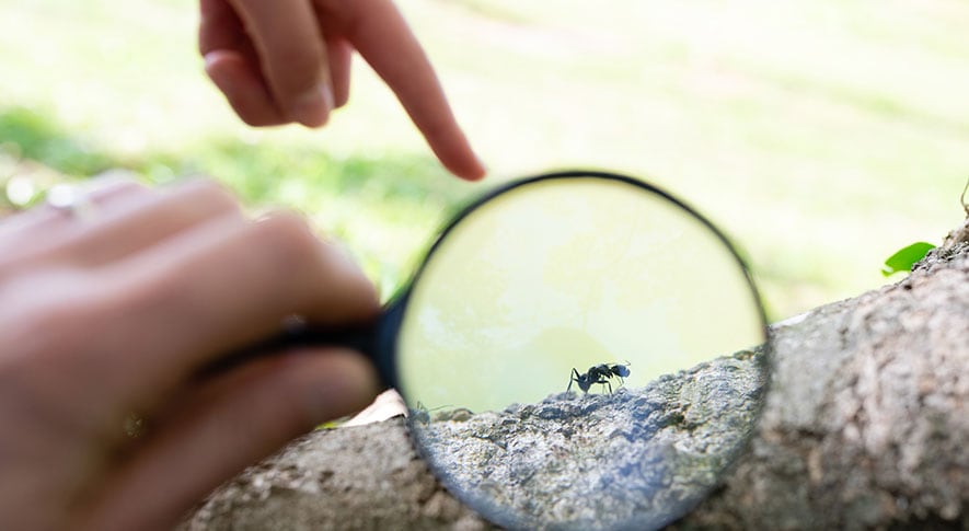 文字が小さい時は設定で拡大が可能