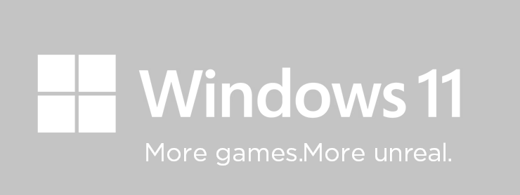 Windows 11